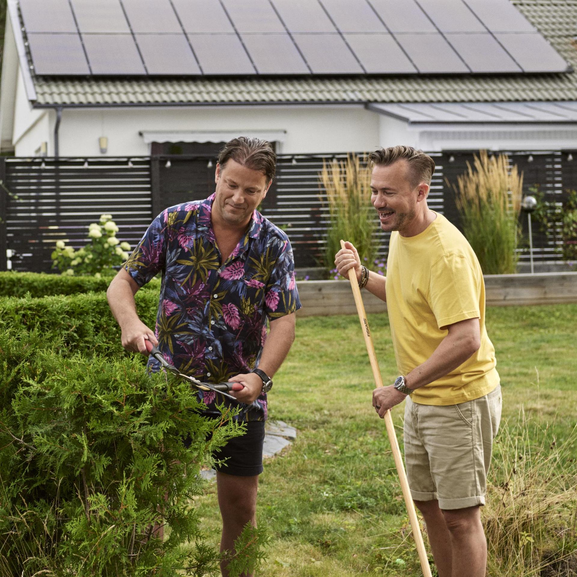 Two men gardening, trimming the hedge. Solar panels in the background