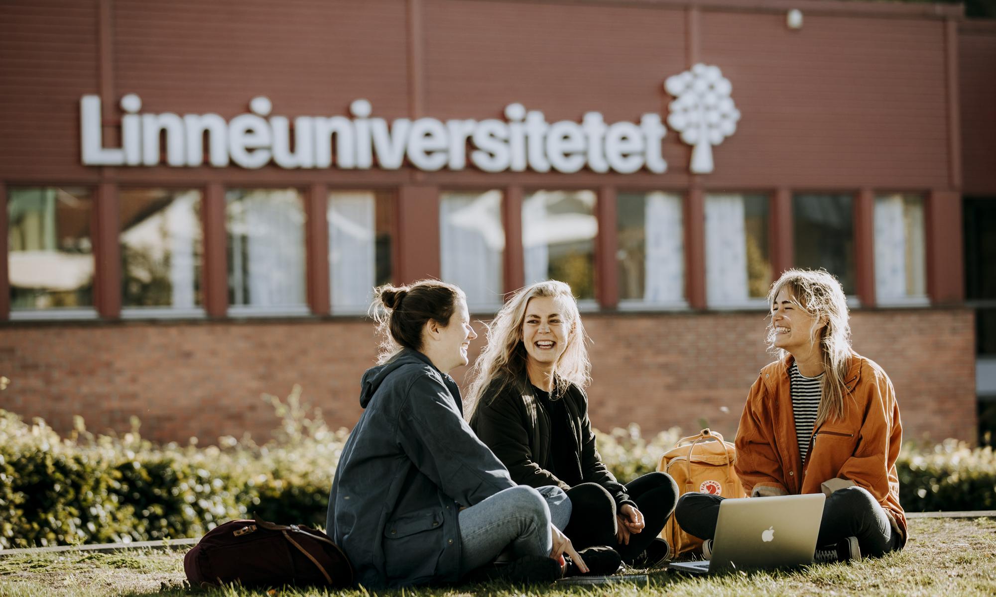 Students at Linneaus University